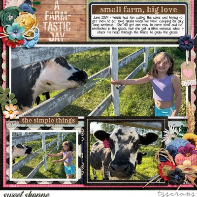 A Farmtastic Day