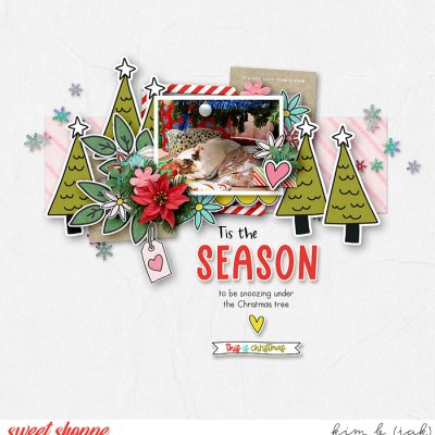 Tis The Season