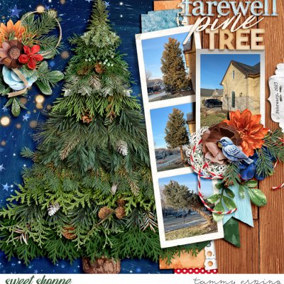 farewell pine tree