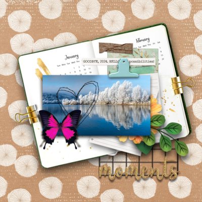 A Grateful Journey