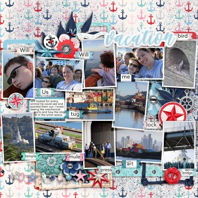 Cruise Collage