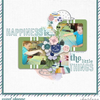 Happiness is the Little Things