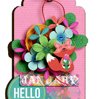 January tag 4