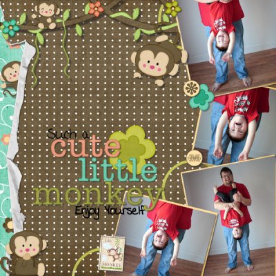 Cute Monkey