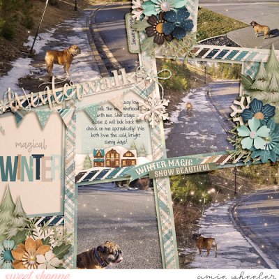 Winter Walks