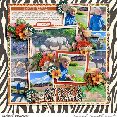 Explore Afrika
