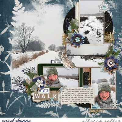 Winter Walk