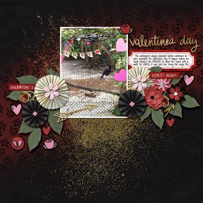 Valentine's Day - Darla the hornbill