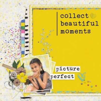 Picture Perfect
