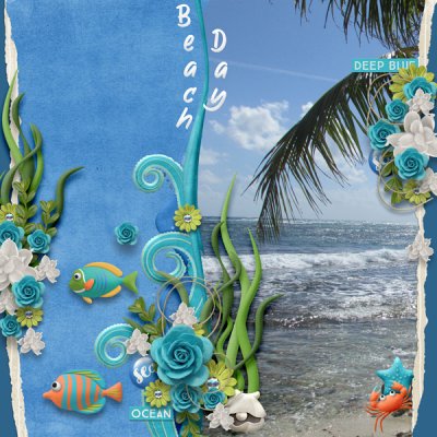 Beach Day