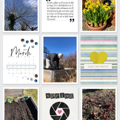 Week 11a 2024