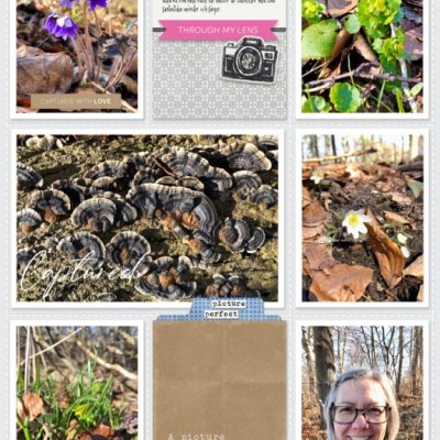 Week 11b 2024