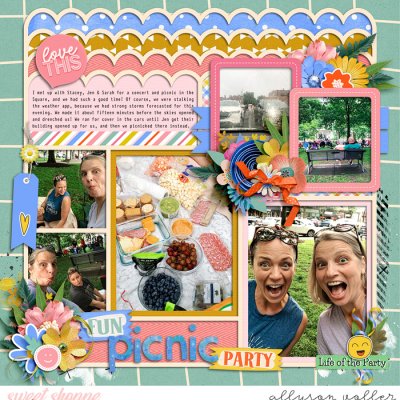 Fun Picnic party