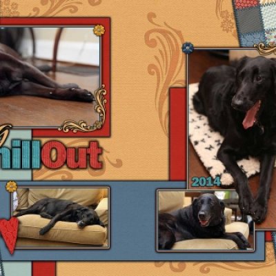The Big Chill Out