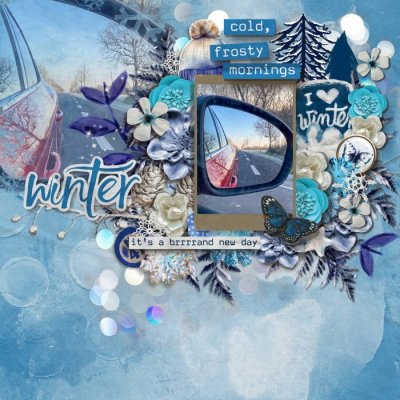 Winter reflection