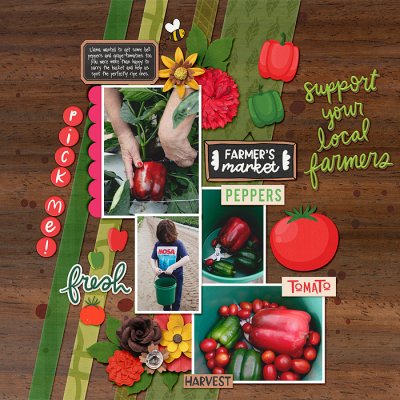 picking tomatoes and peppers