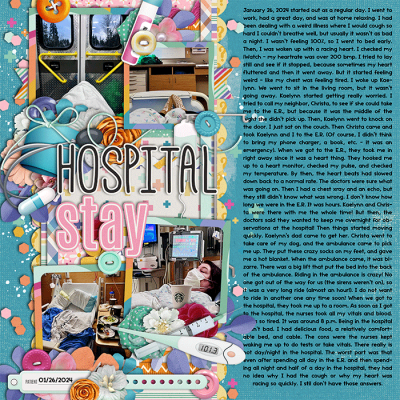 Hospital Stay