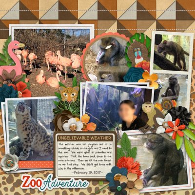Zoo Adventure
