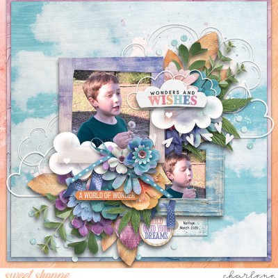 Wonders and Wishes