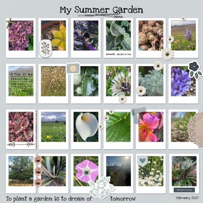 Summer Garden