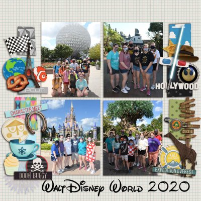 WDW 2020 Park favs