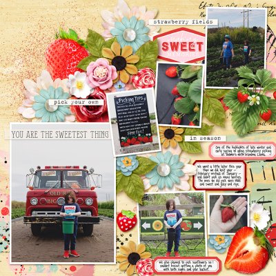 strawberry picking - left