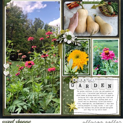 2023 Garden notes 37 left
