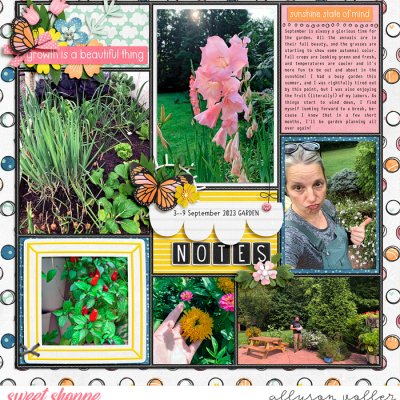 2023 Garden notes 36 left