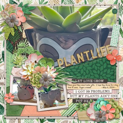 Plant Life