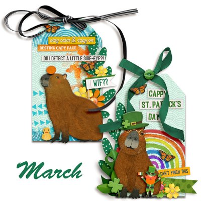 March 2025 Tags