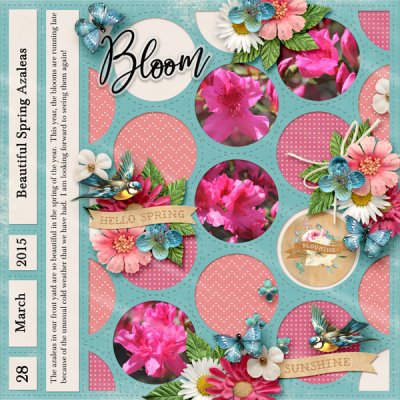 March 1 Pocket Scrap