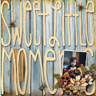 Sweet Little Moments