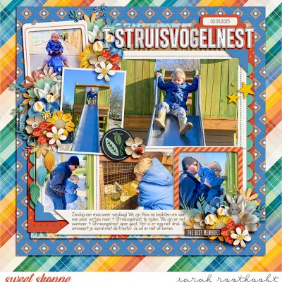 t Struisvogelnest