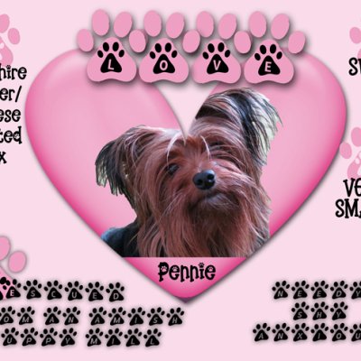 Pennie