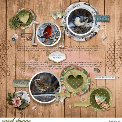 Going to the Birds