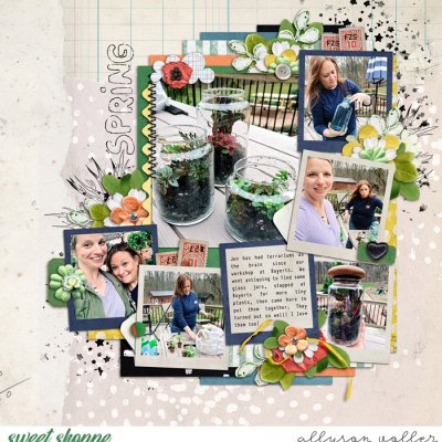 Spring terrariums