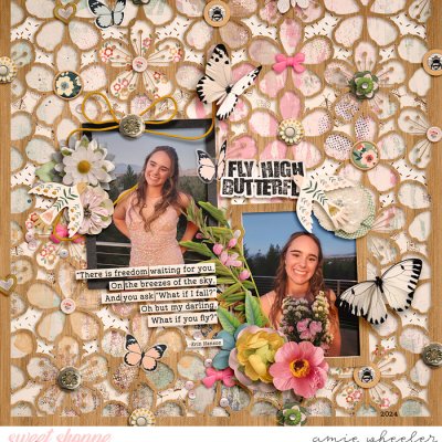 Fly High Butterly