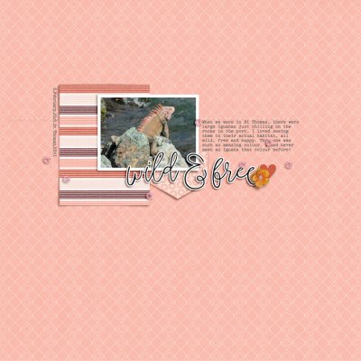 Designed by Soco - Wild & Free