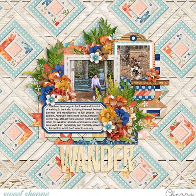 Wander