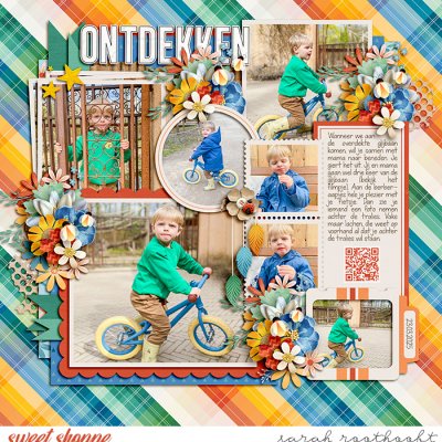 Ontdekken