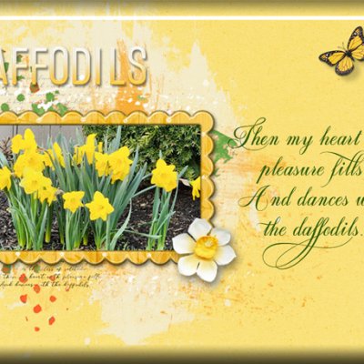 ATC 2025-027 Daffodils