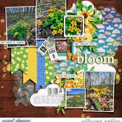Bloom