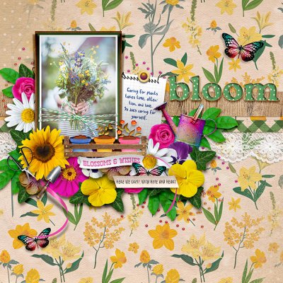 bloom