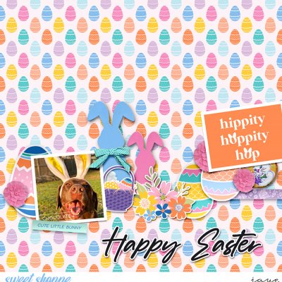 Chocolate Bunny