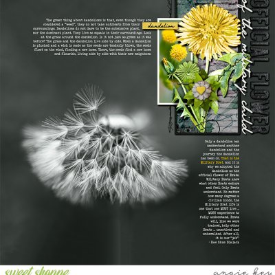 Official Flower of the Military Child