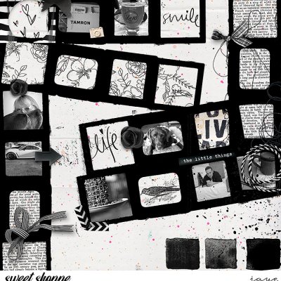Passport to Hobbies May 2025: Photography