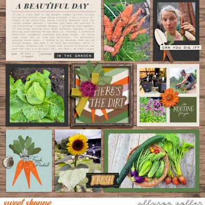 2024 31 week garden notes 01