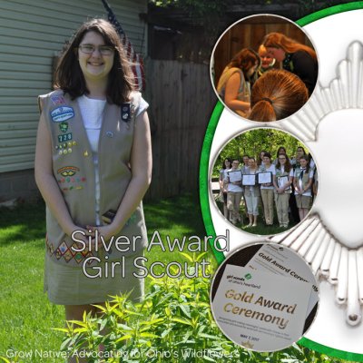 Silver Award Girl Scout- 2017