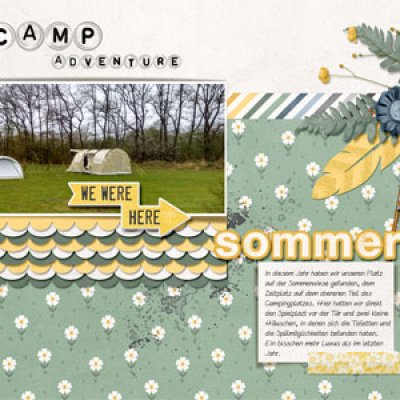 Sommerwiese
