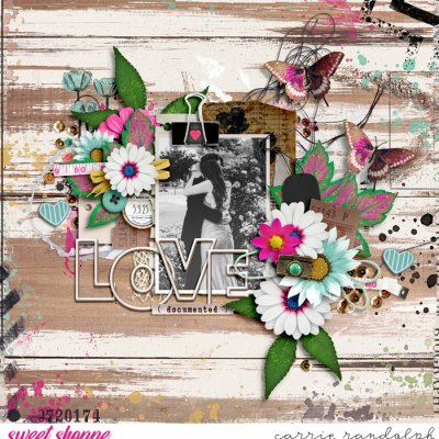 Love Documented